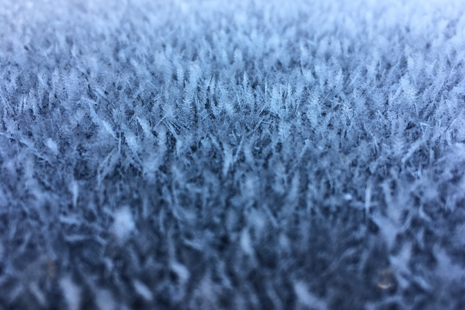 snow-covered grass