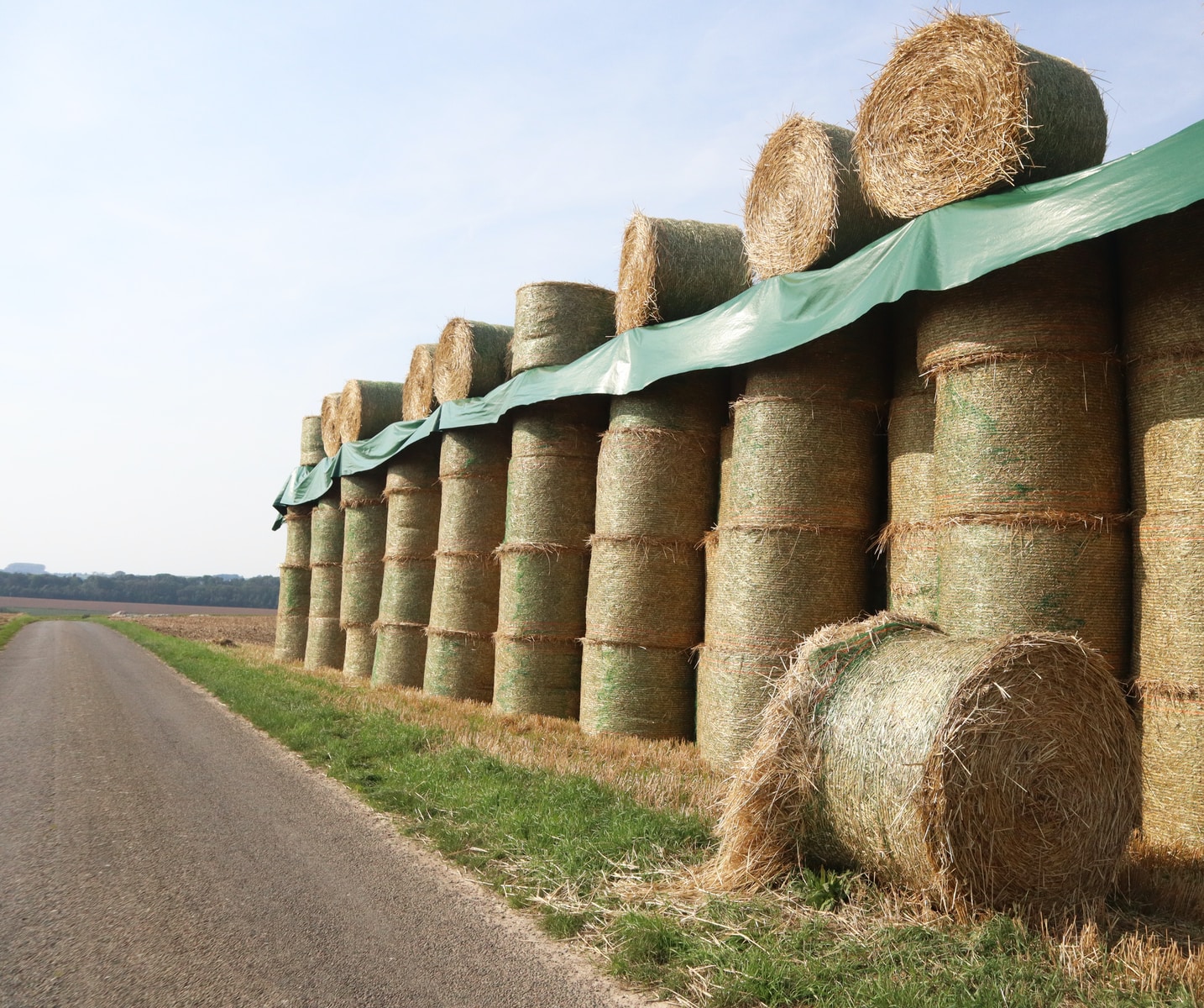 pile of hays